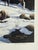 "Point of View" 1992 Jocelyn Lillpop Russell Le Signed Numbered Big Horn Sheep Wildlife Print For Sale - Image 4 of 6