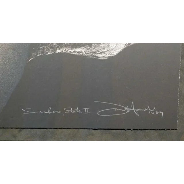 Frank Howell "Summer Rose St Ii" Framed Hand Signed & Numbered For Sale - Image 4 of 4