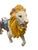 A spectacular large-scale vintage carousel-style lion figure with wonderfully theatrical presence and layers of authentic...