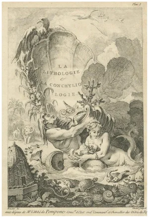 Boucher Fils, Lithology and Conchology, 1757, Paper