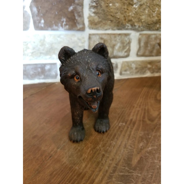 Antiique Black Forest Bear For Sale In San Antonio - Image 6 of 9