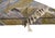 Premium Handwoven Moroccan Wool Rug | 8'2" X 4'8" | One of a Kind For Sale - Image 6 of 7