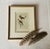 Antique Hand-Colored Litghograph , "The Crowned Flycatcher" C. 1853 For Sale - Image 10 of 18