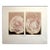 1981 "Peneul II" Roses Still Life Mezzotint by GH Rothe For Sale