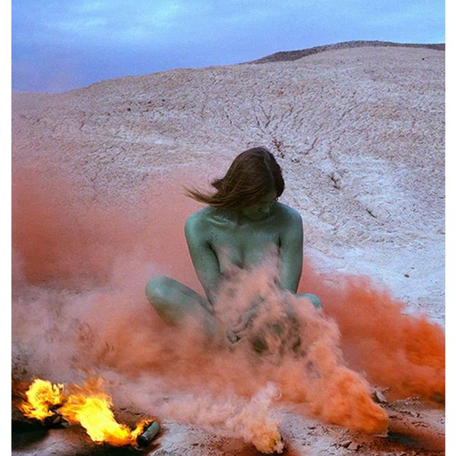 Contemporary Judy Chicago Immolation Poster For Sale - Image 3 of 3