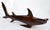 Asian Style 1970s Ironwood Hand-Carved Shark Animal Sculpture Coastal Nautical Figurine Brazil For Sale - Image 4 of 14