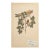 Vintage Swedish Herbarium - Cinnamon Rose, Circa 1933 For Sale