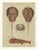 Antique Lobster Crab and Horseshoe Crab Engraving by Bertuch, 1792 For Sale - Image 3 of 9