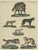 Bertuch, Wild Canines and Hyenas, 1800, Handcolored Engraving For Sale - Image 7 of 7