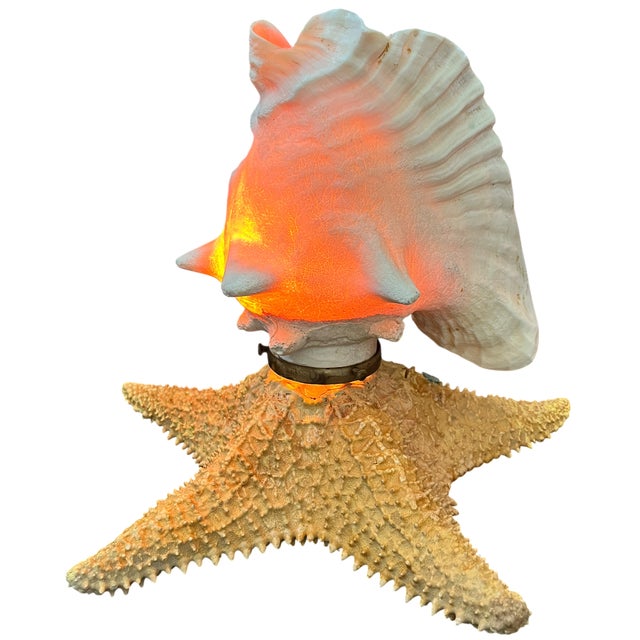 Vintage Natural Conch Shell & Starfish Coastal Table Lamps - a Pair For Sale - Image 12 of 18