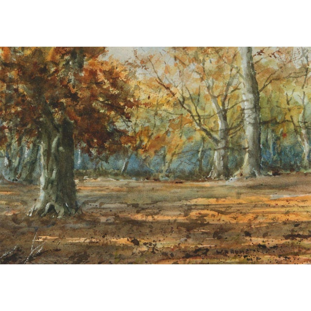 20th Century Watercolour Drawing of Autumnal Trees in Northern Ireland Forest, by 20th Century Artist, William Hume Art...