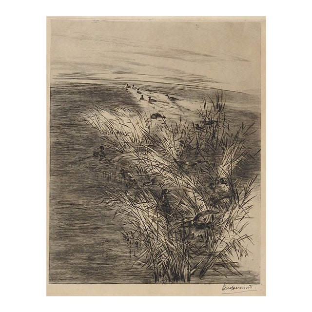 Antique Late 19th Century Felix Bracquemond Ducks in Pond Etching For Sale