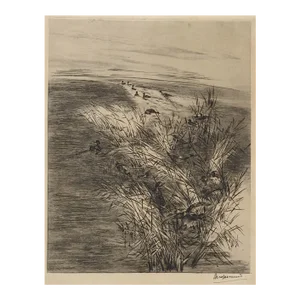 Antique Late 19th Century Felix Bracquemond Ducks in Pond Etching