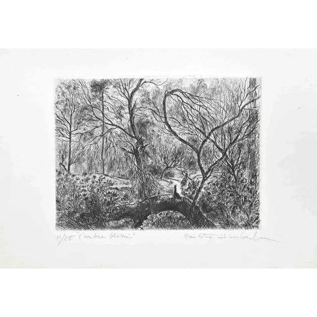 Modern Paulette Humbert, L'Arbre Blessé, Etching, 1950s For Sale - Image 3 of 3