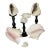 Set of 5, 1970s Large Sea Shells Collection on Stands For Sale