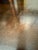 Brown Harris Rubin Overlay Coffee Table For Sale - Image 8 of 12