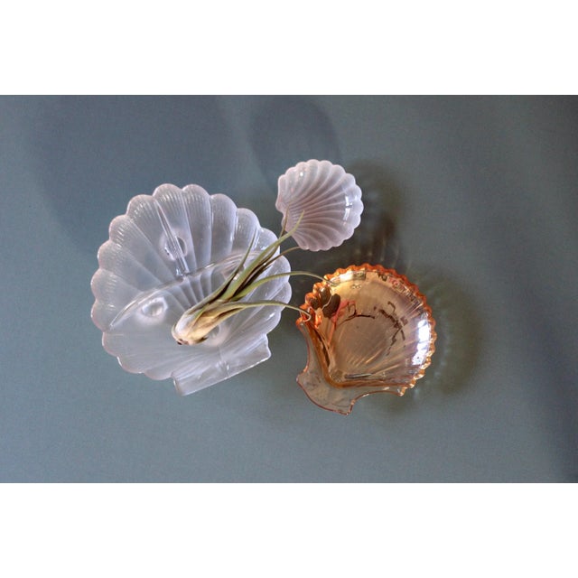 1980s 1980s Frosted Shell Dish For Sale - Image 5 of 11