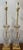French 1960s Mabro Lamp Company French Clear Crystal and Gilt Table Lamps -a Pair For Sale - Image 3 of 7