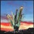 "Arizona Red Sunset Cactus" Contemporary Original Expressionist Desert Landscape Mixed-Media Painting by Pete Kasprzak For Sale