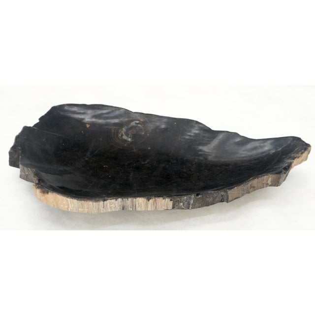 Mid-Century Modern Petrified Wood Liver Shape Solid Black Elongated Bowl Dish Large Plate Ashtray For Sale - Image 3 of 7