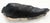 Mid-Century Modern Petrified Wood Liver Shape Solid Black Elongated Bowl Dish Large Plate Ashtray For Sale - Image 3 of 7