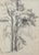 Otto Vautier, Tree, Graphite on Paper For Sale