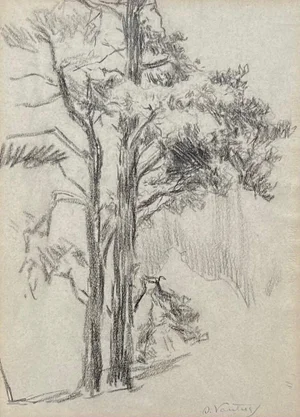 Otto Vautier, Tree, Graphite on Paper