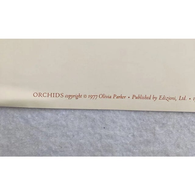 1982 Olivia Parker “Two Orchids” Brent Sikkema Gallery Promotional Poster For Sale - Image 4 of 6