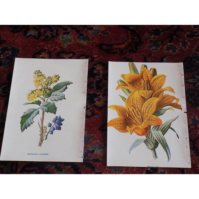 We made a super buy and are passing on the savings! This set of twelve (12) late 19th century lithographs (offset) by...