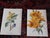 We made a super buy and are passing on the savings! This set of twelve (12) late 19th century lithographs (offset) by...
