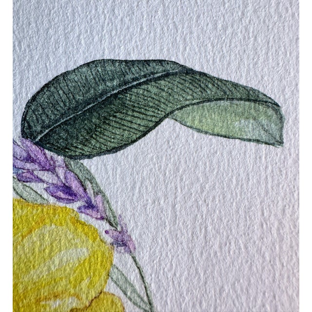 2020s Original Signed Sarah Voyer “Sea Turtle” Print For Sale - Image 5 of 14