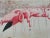 If you love the look of De Gournay wallpaper but not the price, this is for you. Stunning hand‑painted panoramic mural...