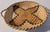 Star Pattern 20th C medium hand woven tray with handles. Wonderful color and great solid stable handle. Well made piece.