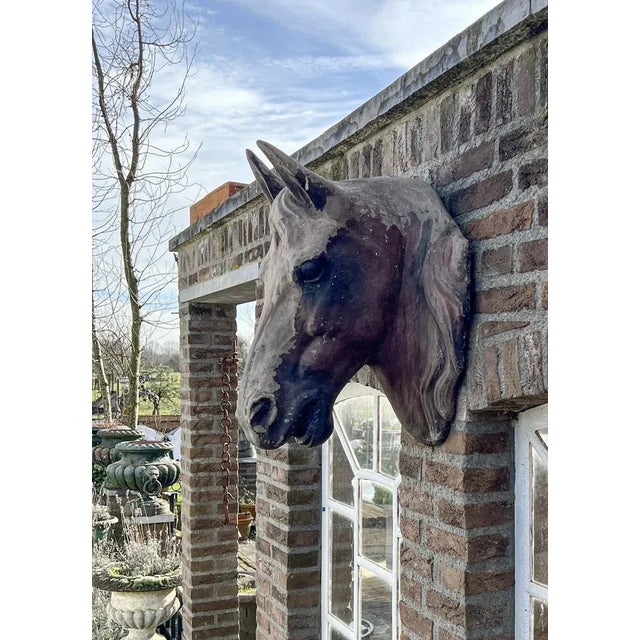 Life-Size Horse Head Sculpture, 1940s For Sale - Image 4 of 8