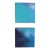 Pair Small Scale Abstract Paintings on Wood by C. Damien Fox 2025 For Sale