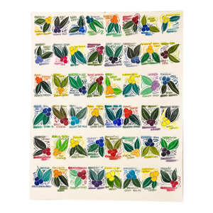 Giclee Print Watercolor and Ink Painting “Color Chart in Berries” Artist Reference Chart