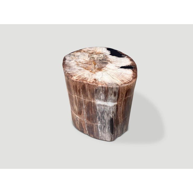 Contemporary Andrianna Shamaris Ancient High Quality Petrified Wood Side Table For Sale - Image 3 of 4