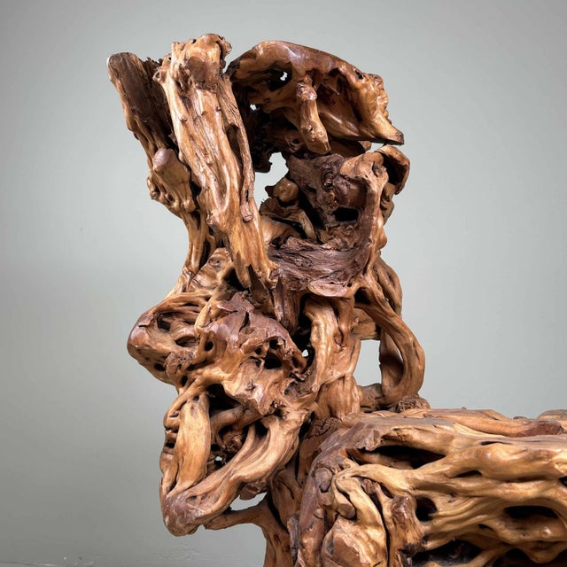 Large Japanese Burl Root Wood Plant Stand, 1920s For Sale - Image 18 of 18