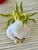 Katherine Houston Porcelain Vegetable and Fruit Collection For Sale - Image 4 of 8