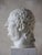 Antique Marble Bust of the Emperor Nero, 1800s For Sale - Image 4 of 8