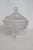 This lovely covered Candy Dish is made out of frosted glass with a satin finish. This stunning dish features a oceanic...
