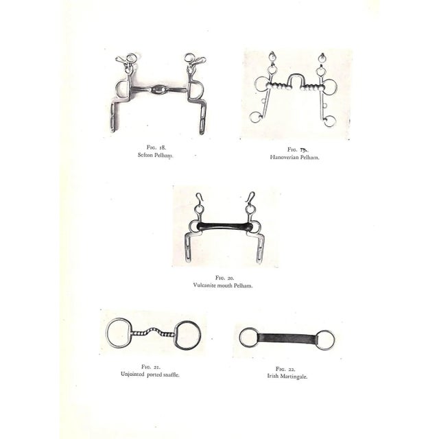 1940s "Bridle Wise: A Key to Better Hunters - Better Ponies" 1949 Goldschmidt, Lt. Col. s.g. For Sale - Image 5 of 12