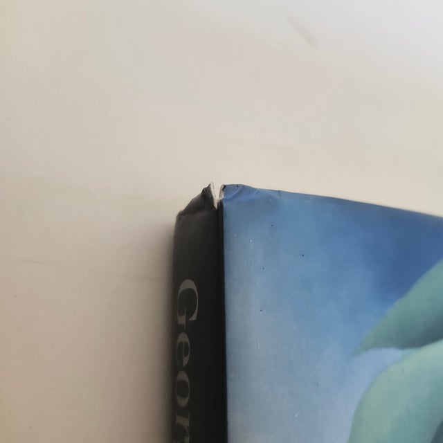1987 Georgia O'Keeffe : One Hundred Flowers. Knopf, 1st Edition Large Hardback For Sale - Image 9 of 13
