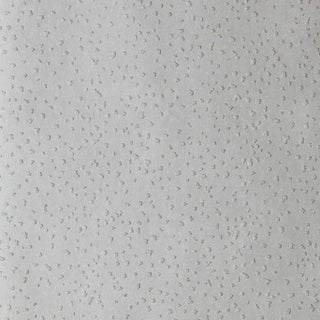 Harlequin Foxy Wallpaper in Pumice - a Sample For Sale