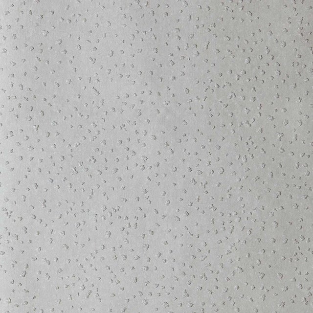 Harlequin Foxy Wallpaper in Pumice - a Sample For Sale