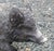 Mid-20th Century English Cast Stone Razorback Boar Garden Figure For Sale In Raleigh - Image 6 of 7