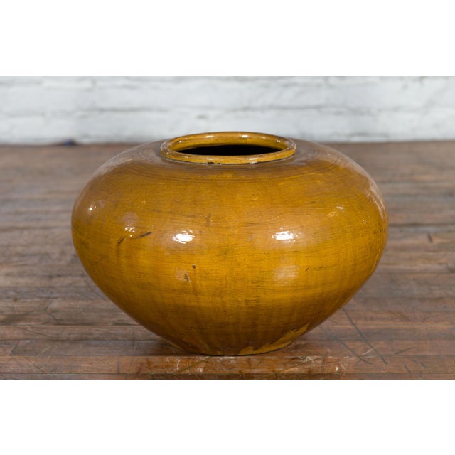Ceramic Chinese Vintage Porcelain Low Squat Planter with Yellow Mustard Glaze For Sale - Image 7 of 12