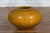 Ceramic Chinese Vintage Porcelain Low Squat Planter with Yellow Mustard Glaze For Sale - Image 7 of 12