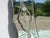 Vintage Venetian Oval Mirror with Pediment, 1950s For Sale - Image 11 of 18