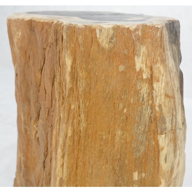 Beige Black Petrified Wood Organic Stomp Shape Stand End Side Table Pedestal For Sale - Image 4 of 10